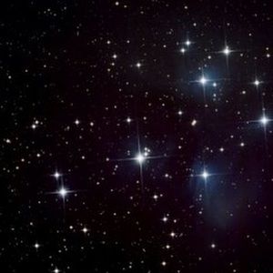 Meet your Posher, Jerrell